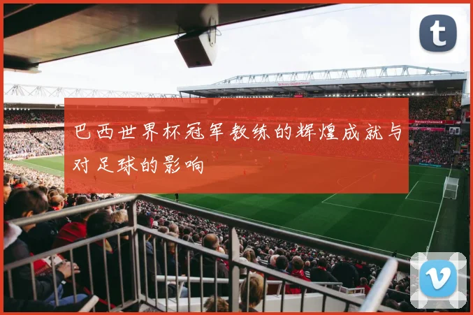 巴西世界杯冠军教练的辉煌成就与对足球的影响