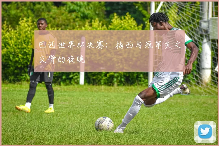 巴西世界杯决赛：梅西与冠军失之交臂的夜晚