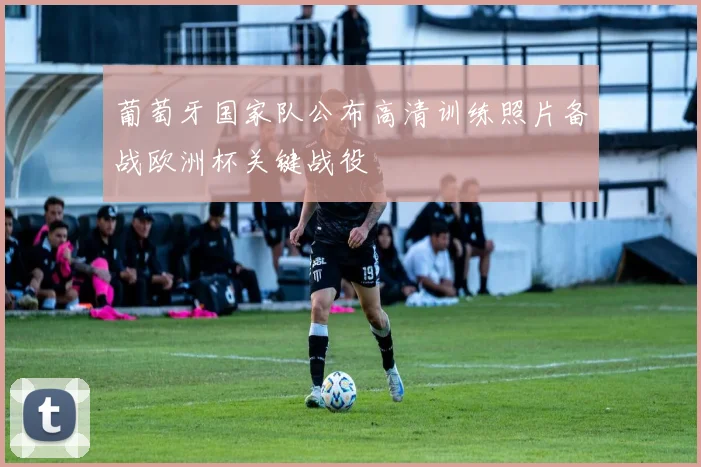 葡萄牙国家队公布高清训练照片备战欧洲杯关键战役