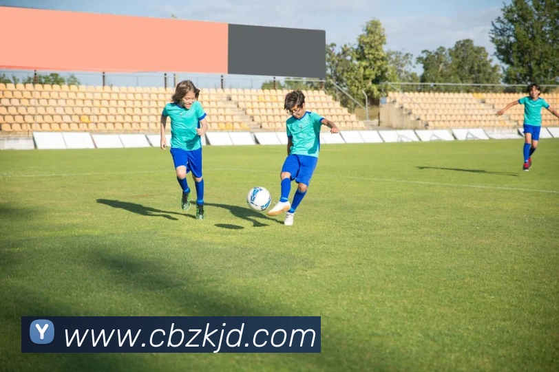 安博登录入口网页版发展历程